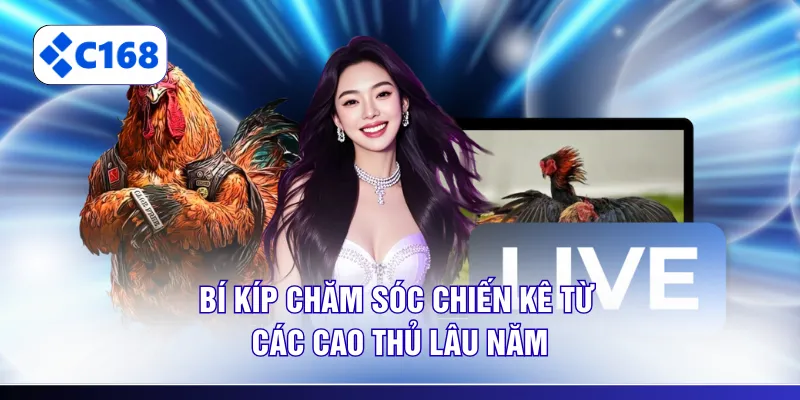 Bí kíp chăm sóc chiến kê từ các cao thủ lâu năm